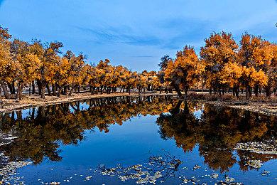 微软辟谣：下一代Xbox主机仍在积极研发中